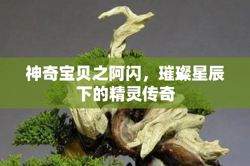 璀璨星辰下的精灵传奇图片
