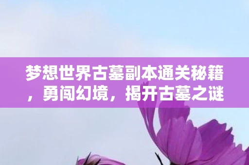 梦想世界古墓副本通关秘籍图片