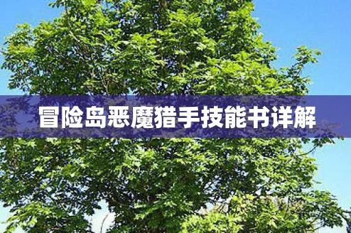 冒险岛恶魔猎手技能书详解图片