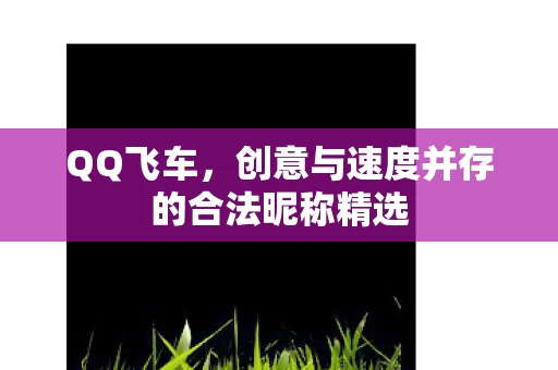 创意与速度并存的合法昵称精选图片