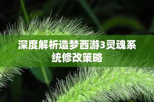深度解析造梦西游3灵魂系统修改策略图片