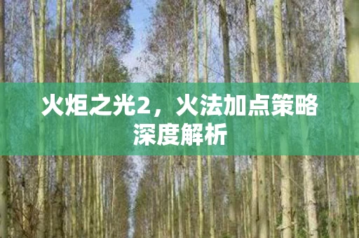 火法加点策略深度解析图片