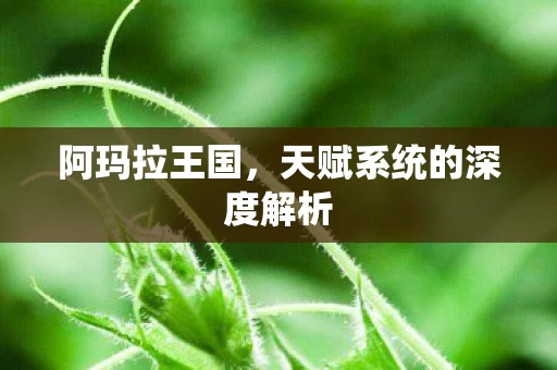 天赋系统的深度解析图片