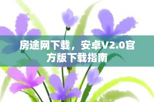0官方版下载指南图片