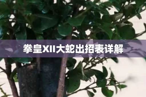 拳皇XII大蛇出招表详解图片