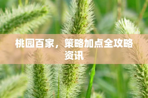 策略加点全攻略资讯图片