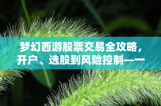 梦幻西游股票交易全攻略图片