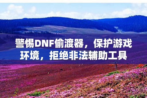 警惕DNF偷渡器图片