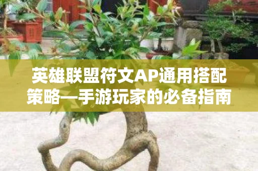 英雄联盟符文AP通用搭配策略图片