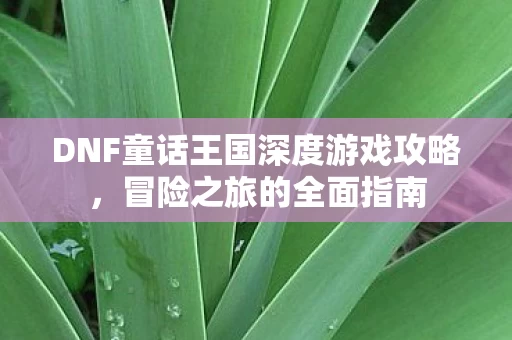 DNF童话王国深度游戏攻略图片