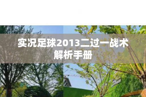 实况足球2013二过一战术解析手册图片