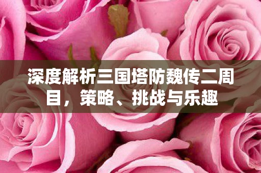 深度解析三国塔防魏传二周目图片