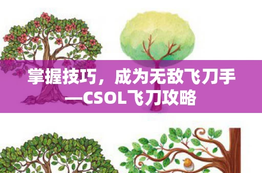CSOL飞刀攻略图片