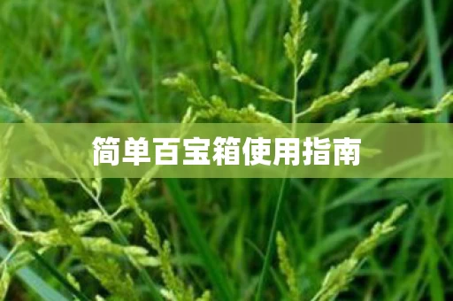 简单百宝箱使用指南图片