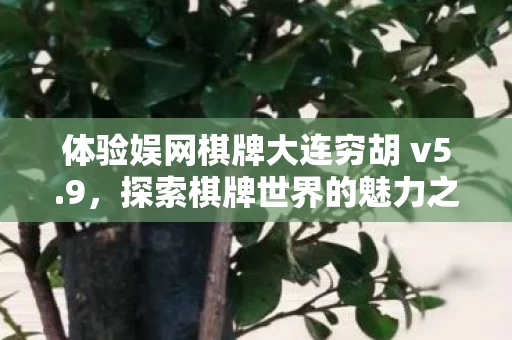 体验娱网棋牌大连穷胡 v5图片