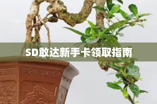 SD敢达新手卡领取指南图片