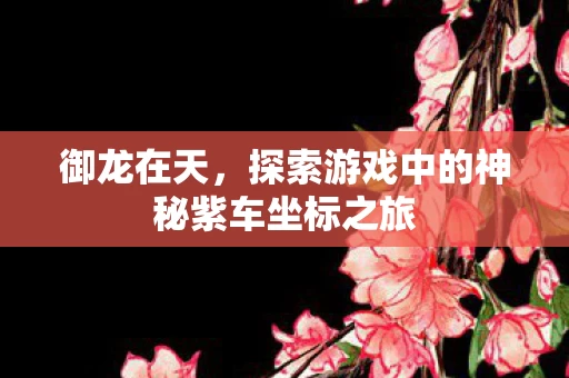 探索游戏中的神秘紫车坐标之旅图片