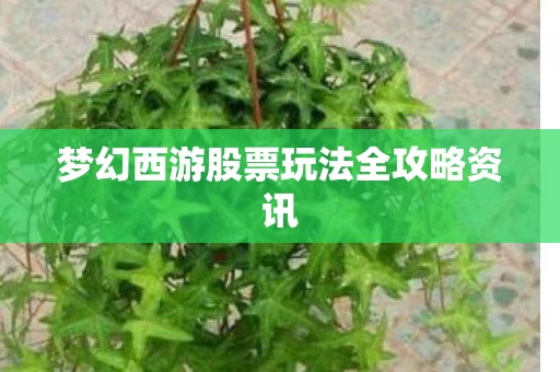 梦幻西游股票玩法全攻略资讯图片