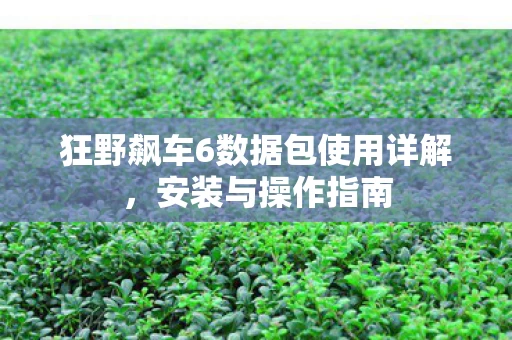 狂野飙车6数据包使用详解图片