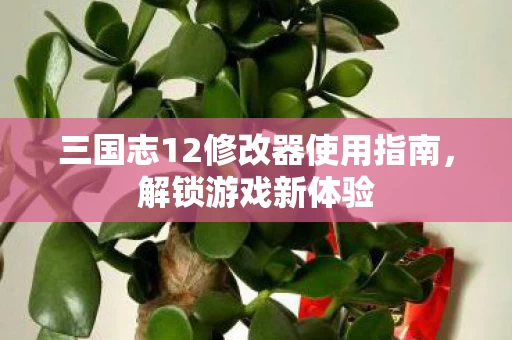 三国志12修改器使用指南图片