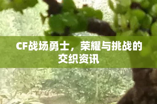 荣耀与挑战的交织资讯图片