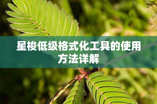 星梭低级格式化工具的使用方法详解图片