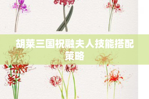 胡莱三国祝融夫人技能搭配策略图片