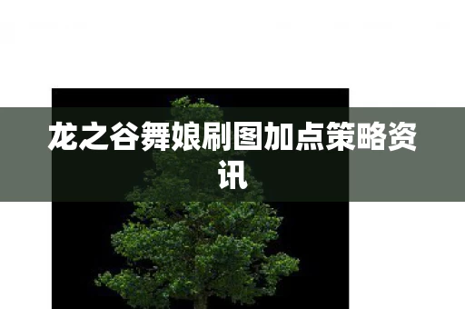 龙之谷舞娘刷图加点策略资讯图片