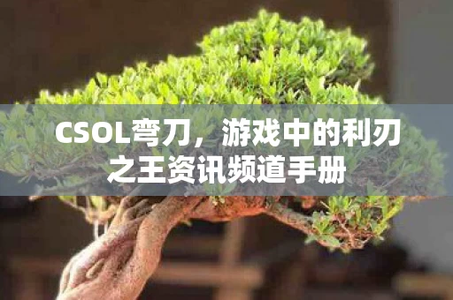游戏中的利刃之王资讯频道手册图片