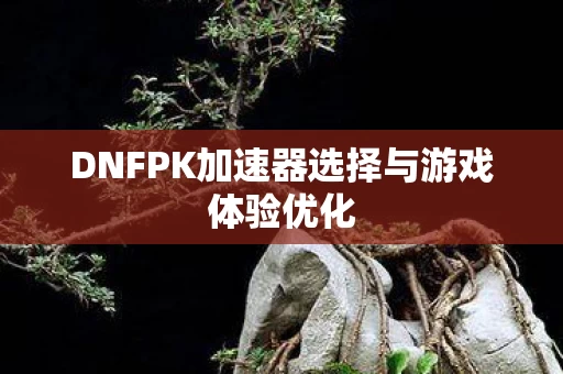 DNFPK加速器选择与游戏体验优化图片