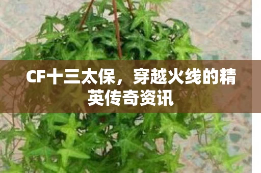 穿越火线的精英传奇资讯图片