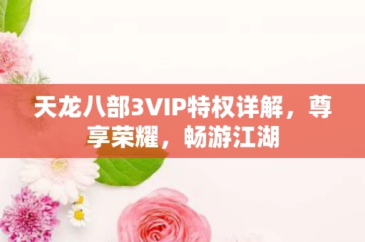 天龙八部3VIP特权详解图片