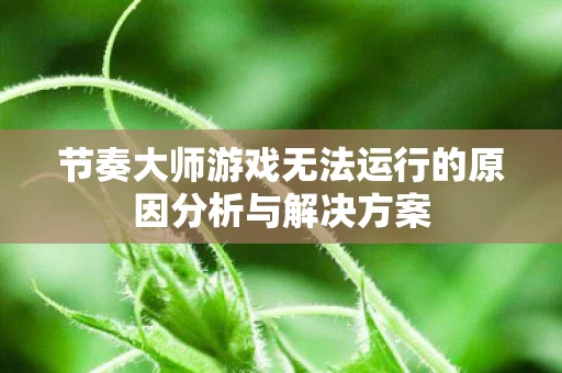 节奏大师游戏无法运行的原因分析与解决方案图片