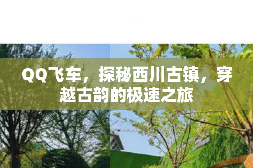 穿越古韵的极速之旅图片