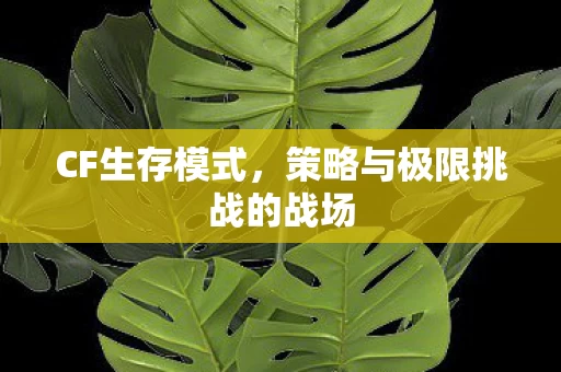 策略与极限挑战的战场图片