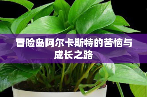 冒险岛阿尔卡斯特的苦恼与成长之路图片