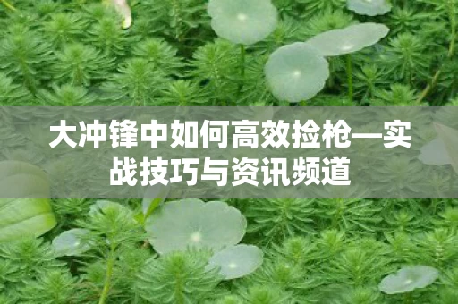 大冲锋中如何高效捡枪图片