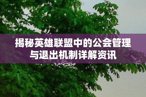 揭秘英雄联盟中的公会管理与退出机制详解资讯图片