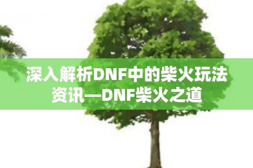 深入解析DNF中的柴火玩法资讯图片