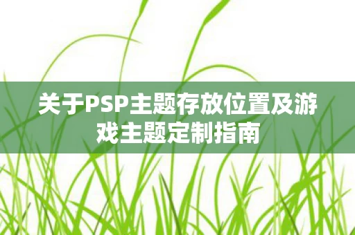关于PSP主题存放位置及游戏主题定制指南图片
