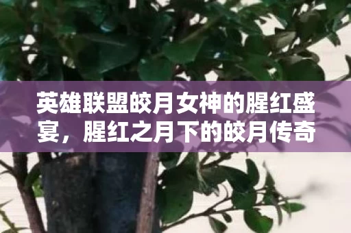 英雄联盟皎月女神的腥红盛宴图片