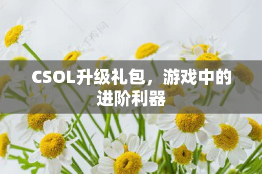 CSOL升级礼包图片
