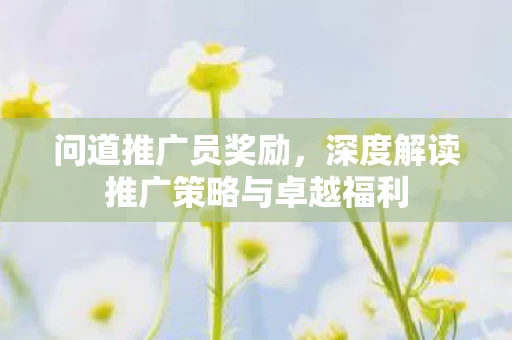 深度解读推广策略与卓越福利图片