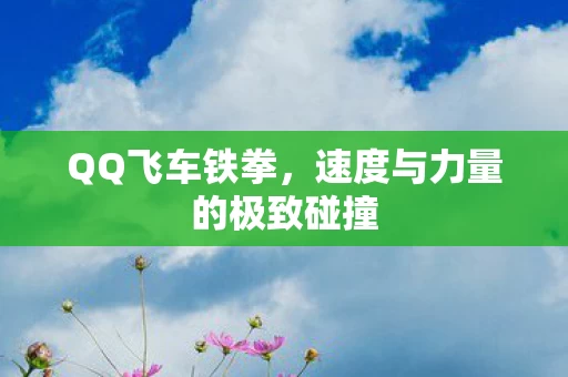 速度与力量的极致碰撞图片