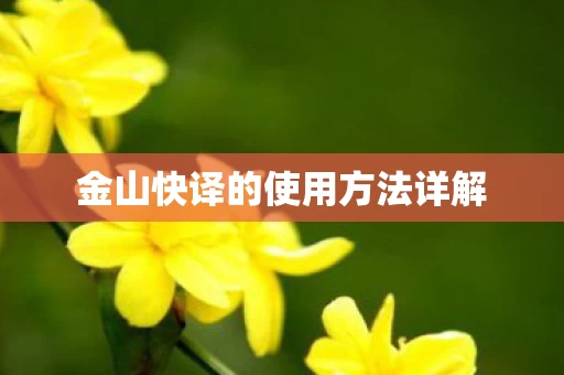 金山快译的使用方法详解图片