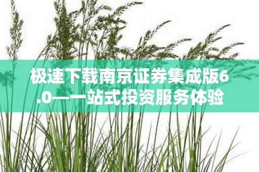 极速下载南京证券集成版6图片