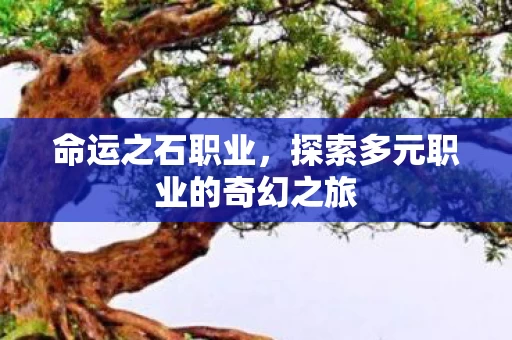 探索多元职业的奇幻之旅图片