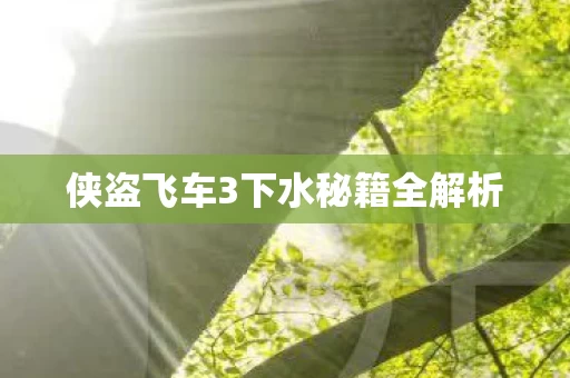 侠盗飞车3下水秘籍全解析图片