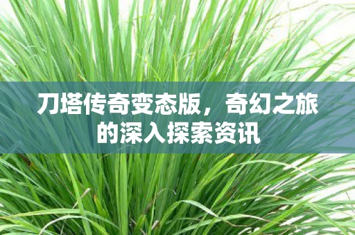 奇幻之旅的深入探索资讯图片