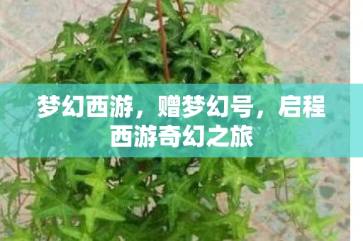 启程西游奇幻之旅图片